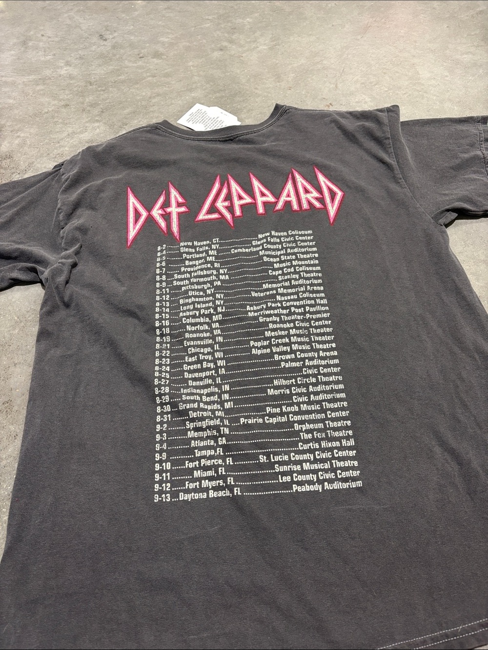 Altar'd State Black Tee with Pink Leopard Graphic and Teal Accents - Picture 4 of 4